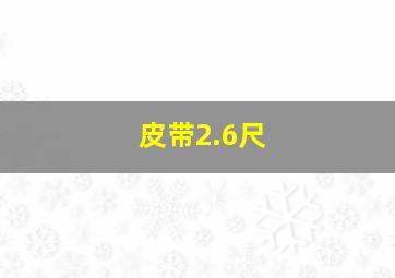 皮带2.6尺