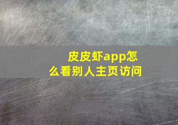 皮皮虾app怎么看别人主页访问