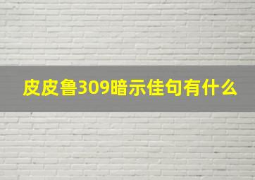 皮皮鲁309暗示佳句有什么