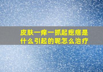 皮肤一痒一抓起疙瘩是什么引起的呢怎么治疗