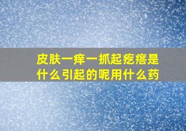 皮肤一痒一抓起疙瘩是什么引起的呢用什么药