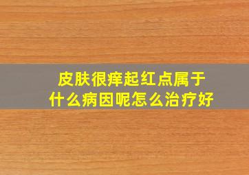 皮肤很痒起红点属于什么病因呢怎么治疗好