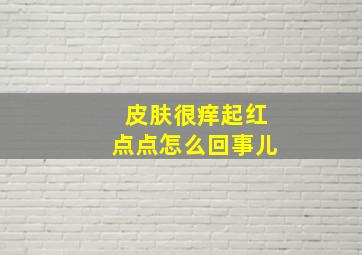 皮肤很痒起红点点怎么回事儿