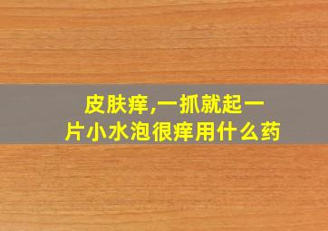 皮肤痒,一抓就起一片小水泡很痒用什么药