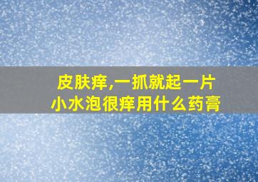 皮肤痒,一抓就起一片小水泡很痒用什么药膏