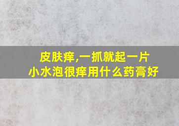 皮肤痒,一抓就起一片小水泡很痒用什么药膏好