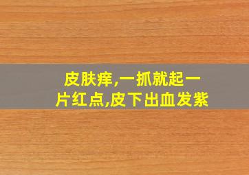 皮肤痒,一抓就起一片红点,皮下出血发紫