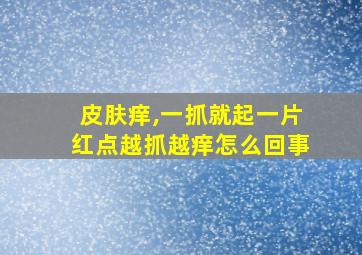 皮肤痒,一抓就起一片红点越抓越痒怎么回事