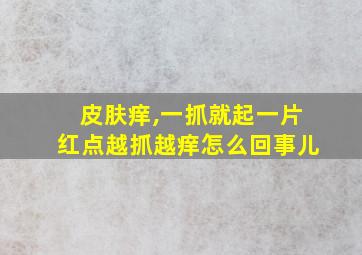 皮肤痒,一抓就起一片红点越抓越痒怎么回事儿