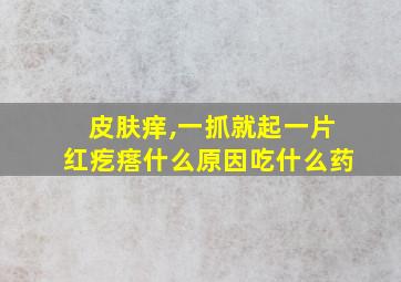 皮肤痒,一抓就起一片红疙瘩什么原因吃什么药