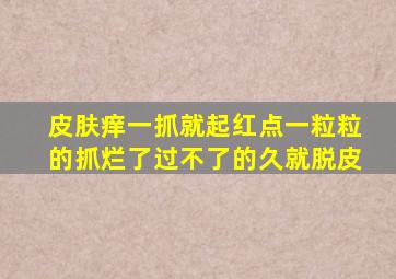 皮肤痒一抓就起红点一粒粒的抓烂了过不了的久就脱皮