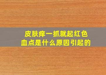 皮肤痒一抓就起红色血点是什么原因引起的