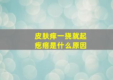 皮肤痒一挠就起疙瘩是什么原因