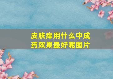 皮肤痒用什么中成药效果最好呢图片