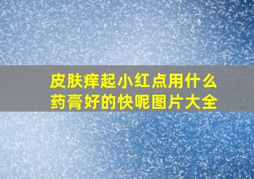 皮肤痒起小红点用什么药膏好的快呢图片大全