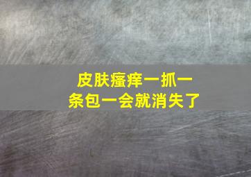 皮肤瘙痒一抓一条包一会就消失了