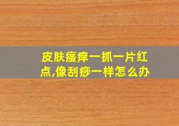 皮肤瘙痒一抓一片红点,像刮痧一样怎么办