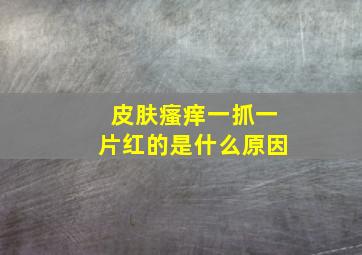 皮肤瘙痒一抓一片红的是什么原因