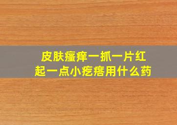 皮肤瘙痒一抓一片红起一点小疙瘩用什么药