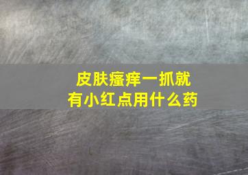 皮肤瘙痒一抓就有小红点用什么药