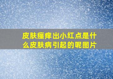 皮肤瘙痒出小红点是什么皮肤病引起的呢图片