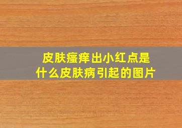 皮肤瘙痒出小红点是什么皮肤病引起的图片