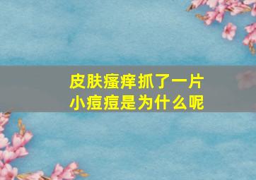 皮肤瘙痒抓了一片小痘痘是为什么呢