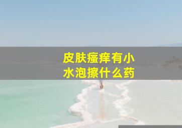 皮肤瘙痒有小水泡擦什么药