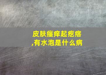 皮肤瘙痒起疙瘩,有水泡是什么病