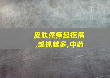 皮肤瘙痒起疙瘩,越抓越多,中药