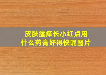 皮肤瘙痒长小红点用什么药膏好得快呢图片