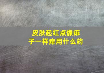 皮肤起红点像痱子一样痒用什么药