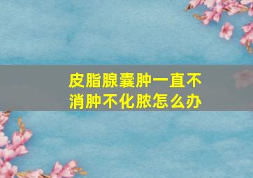 皮脂腺囊肿一直不消肿不化脓怎么办