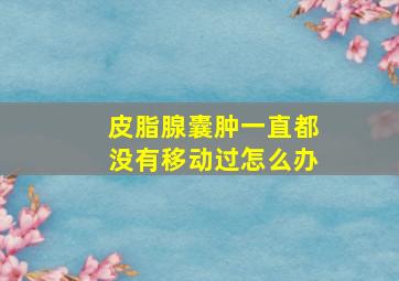 皮脂腺囊肿一直都没有移动过怎么办