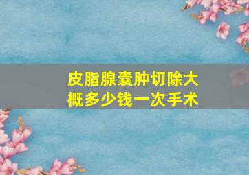 皮脂腺囊肿切除大概多少钱一次手术