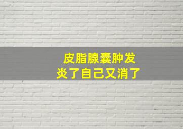 皮脂腺囊肿发炎了自己又消了