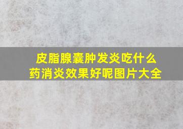 皮脂腺囊肿发炎吃什么药消炎效果好呢图片大全