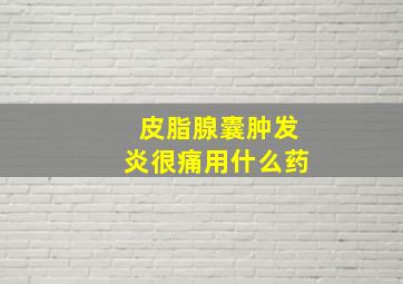 皮脂腺囊肿发炎很痛用什么药