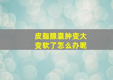 皮脂腺囊肿变大变软了怎么办呢