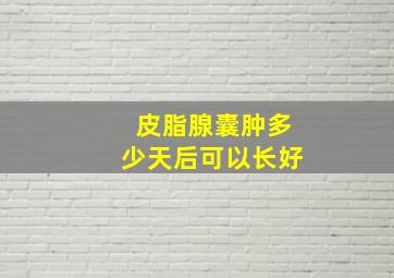 皮脂腺囊肿多少天后可以长好