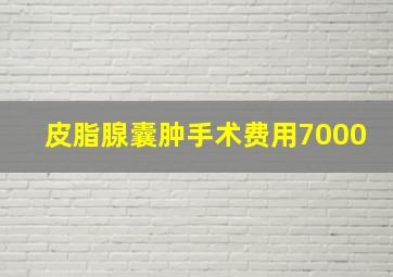 皮脂腺囊肿手术费用7000