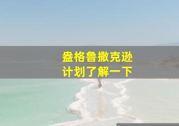 盎格鲁撒克逊计划了解一下