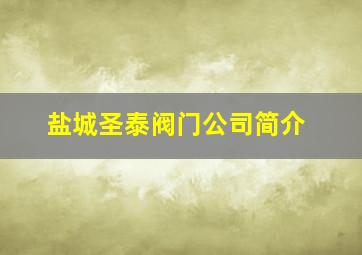 盐城圣泰阀门公司简介