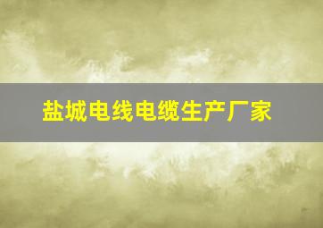 盐城电线电缆生产厂家