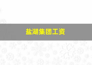 盐湖集团工资