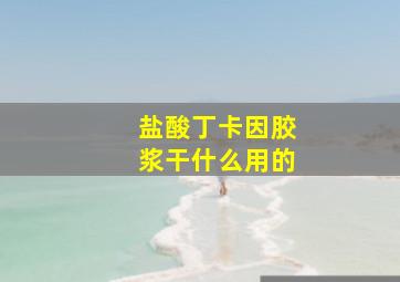 盐酸丁卡因胶浆干什么用的