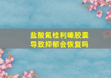 盐酸氟桂利嗪胶囊导致抑郁会恢复吗