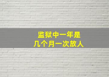 监狱中一年是几个月一次放人