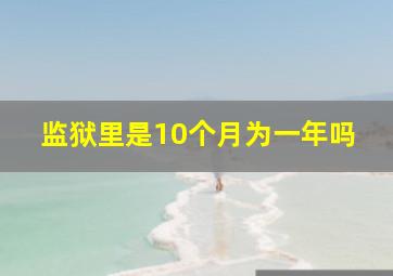 监狱里是10个月为一年吗