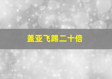 盖亚飞踢二十倍